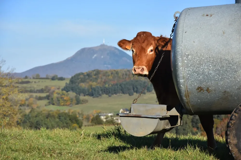 Vente directe viande à Nançois le Grand